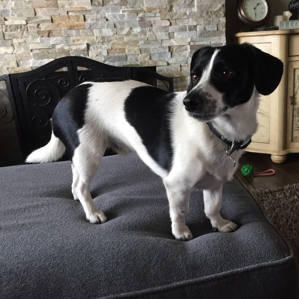 Meet your Posher, Travis